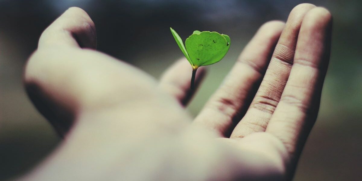 ESG-Transformation grüner Gedanke keimt auf