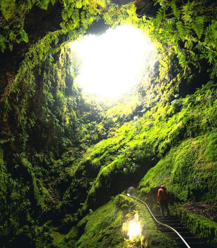 Der Weg zur Nachhaltigkeit